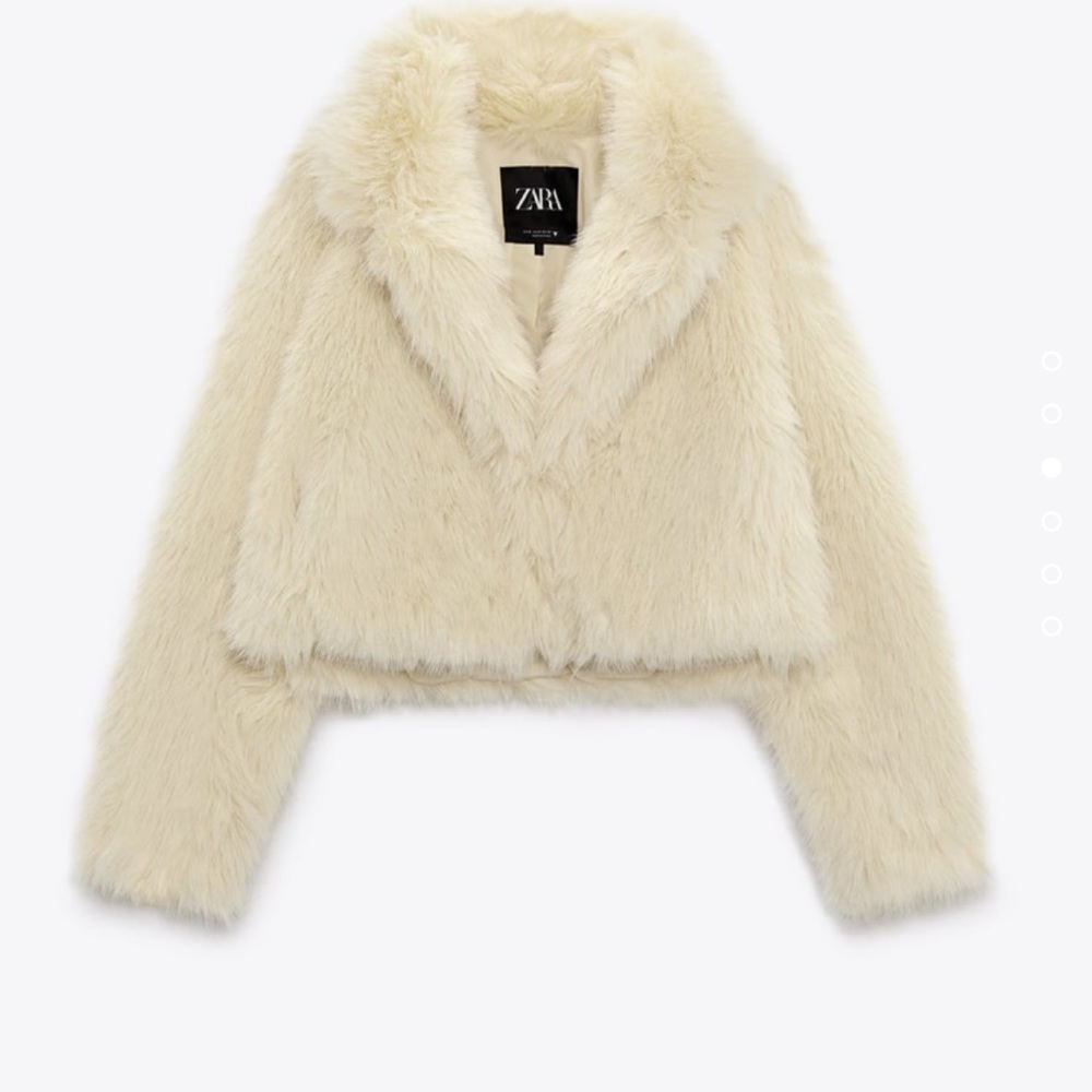 Beautiful Zara faux fur jacket